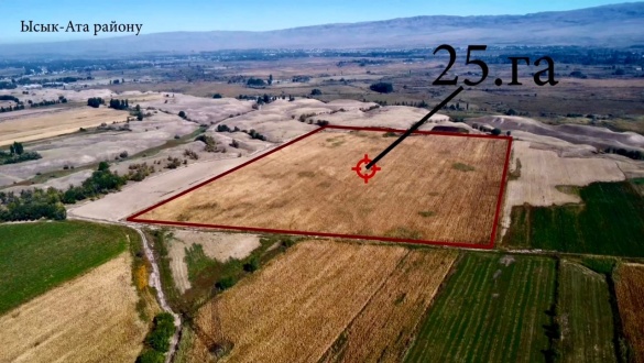 WhatsApp Image 2025-10-28 at 11.25.09 (2).jpeg