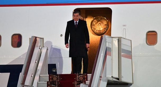 Миризиеев самолет.jpg