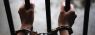 12028407.jpeg