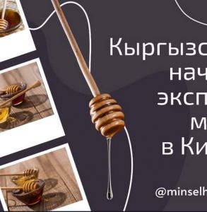 FB_IMG_1668685799158.jpg
