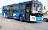 автобус №5.jpg