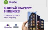 MegaCom_Новоселье.jpg