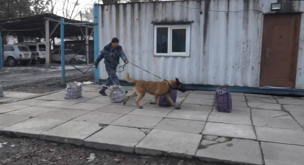 к11.jpg
