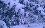 thumb__293_300_0_0_crop.jpg