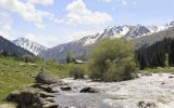 MG_7958.jpg