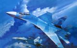 aviation_military_aircraft_su-27_092462_-800x578.jpg