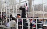 kpp.jpg