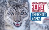 5b818барс.jpg