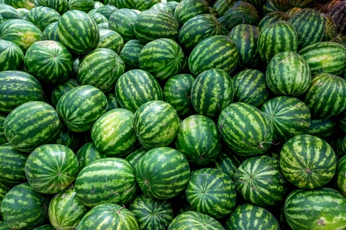 2019Food___Berries_and_fruits_and_nuts_Lots_of_striped_green_watermelons_137633_.jpg
