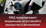 1627875439036_1627874420589_автоворы.jpg