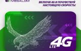 MegaCom_Настройка 4G.jpg