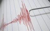 seismic-graph-illustration.jpg