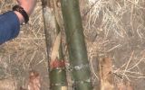 IMG-20201104-WA0001.jpg