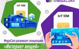 MegaCom_Интернет вещей.jpg